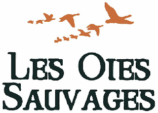 LES OIES SAUVAGES