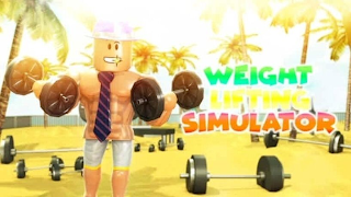 WEIGHT LIFTING SIMULATOR