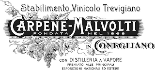 STABILIMENTO VINICOLO TREVIGIANO CARPENE - MALVOLTI FONDATA NEL 1868 IN CONEGLIANO CON DISTILLERIA A VAPORE PREMIATO ALLE PRINCIPALI ESPOSIZIONI NAZIONALI ED ESTERE