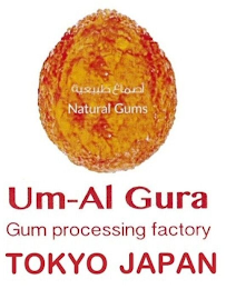 UM-AL GURA GUM PROCESSING FACTORY TOKYO JAPAN NATURAL GUMS