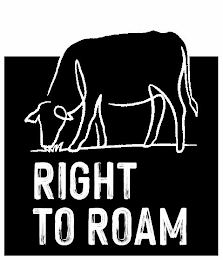 RIGHT TO ROAM