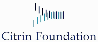 CITRIN FOUNDATION