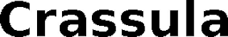 CRASSULA