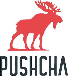 PUSHCHA