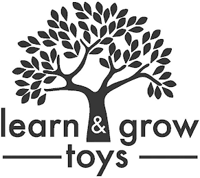 LEARN & GROW TOYS