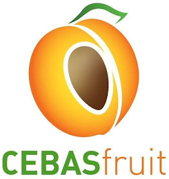 CEBAS FRUIT