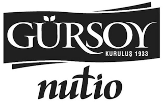 GÜRSOY KURULUS 1933 NUTIO