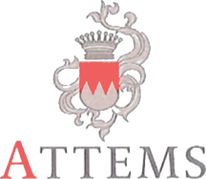 ATTEMS