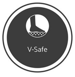 V-SAFE