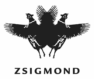 ZSIGMOND