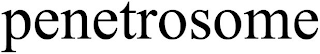 PENETROSOME