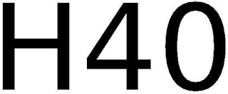 H40