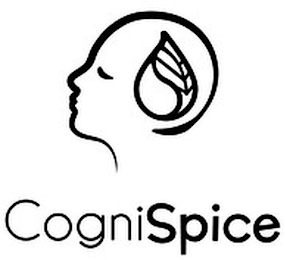 COGNISPICE