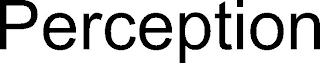 PERCEPTION
