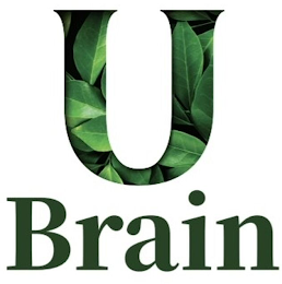 U BRAIN