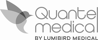 QUANTEL MEDICAL BY LUMIBIRD MEDICAL