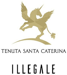 TENUTA SANTA CATERINA ILLEGALE