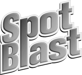 SPOT BLAST