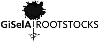 GISELA ROOTSTOCKS