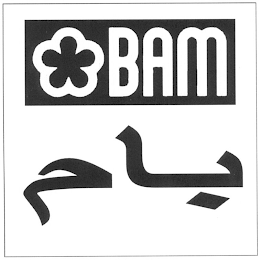 BAM