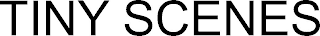 TINY SCENES