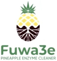 FUWA3E PINEAPPLE ENZYME CLEANER