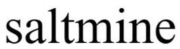 SALTMINE