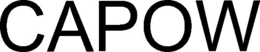 CAPOW- TECHNOLOGIES LTD