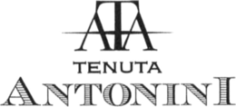 ATA TENUTA ANTONINI