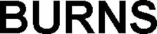 BURNS