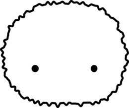 CASIO KEISANKI KABUSHIKI KAISHA (CASIO COMPUTER CO., LTD.)