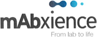 MABXIENCE FROM LAB TO LIFE