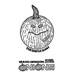 THE GENTLE IDAHO-OREGON SWEET SPANISH ONIONS