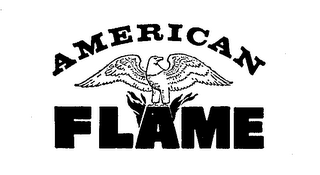 AMERICAN FLAME