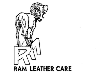 RAM (PLUS OTHER NOTATIONS)