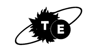 TE