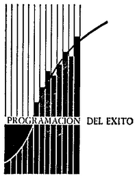 PROGRAMACION DEL EXITO