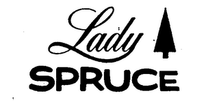 LADY SPRUCE