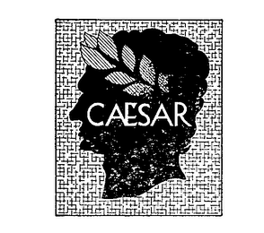 CAESAR