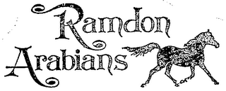 RAMDON ARABIANS