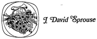 J. DAVID SPROUSE