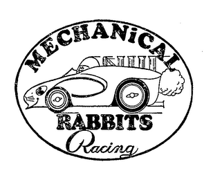 MECHANICAL RABBITS RACING