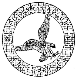 FLYING FALCON ENTERPRISES