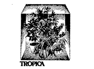 TROPICA