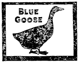 BLUE GOOSE