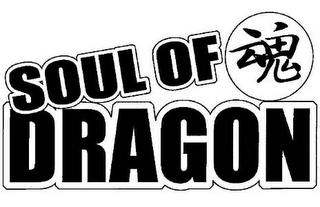 SOUL OF DRAGON