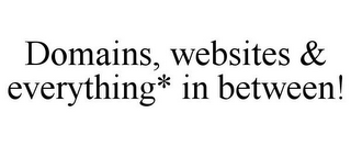 DOMAINS, WEBSITES & EVERYTHING* IN BETWEEN!