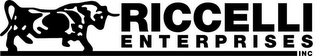 RICCELLI ENTERPRISES INC