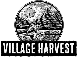 VILLAGE HARVEST
