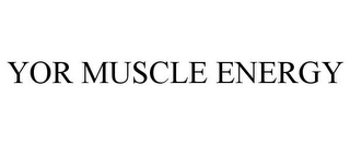 YOR MUSCLE ENERGY